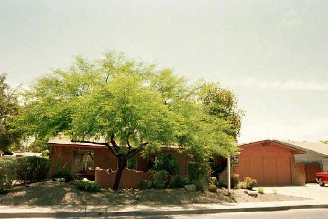 2535 W Plata Ave., Mesa, AZ 85202