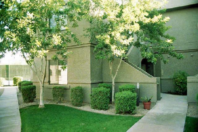 15380 N 100 St. #1127, Scottsdale, AZ 85260