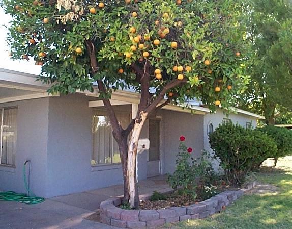 1745 W Elm St., Phoenix, AZ 85015