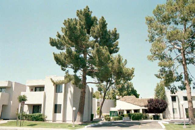1920 S Lindner Ave. #237, Mesa, AZ 85202