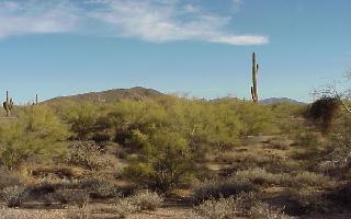 7299 E Sonoran Trail St. #47, Scottsdale, AZ 85262