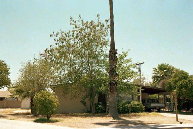 1831 W University Dr., Mesa, AZ 85201