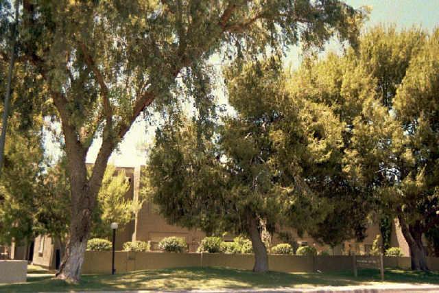 122 S Hardy Dr., Tempe, AZ 85281