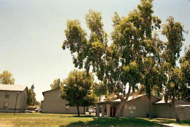 465 W Ivyglen St. #17, Mesa, AZ 85201