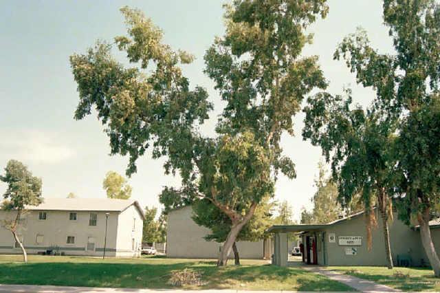 465 W Ivyglen St. #16, Mesa, AZ 85201