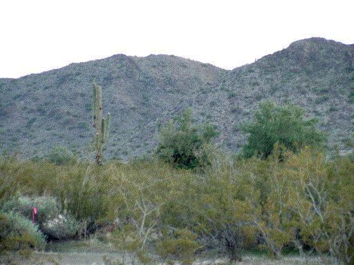 N Table Top Rd. #B, Maricopa, AZ 85239