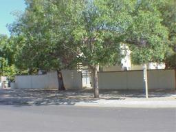5317 W North Ln., Glendale, AZ 85302