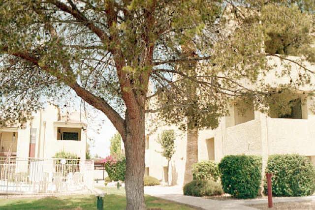 7502 E Thomas Rd. #207, Scottsdale, AZ 85251