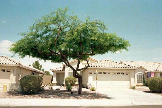 59 N Birch St., Gilbert, AZ 85233