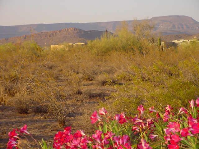 38248 N 11 Ave., Desert Hills, AZ 85086