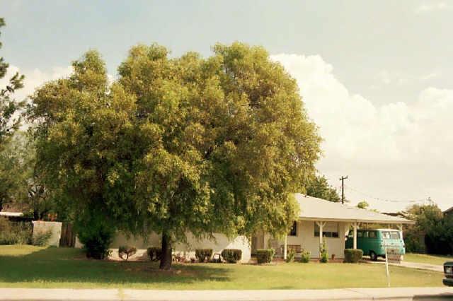 1262 E First St., Mesa, AZ 85203