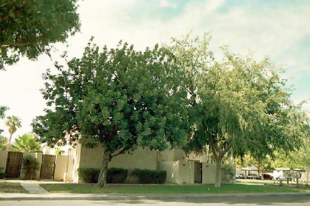1342 Emerald Ave. #366, Mesa, AZ 85202