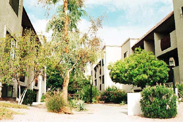 3031 Civic Center Plz. #311, Scottsdale, AZ 85251