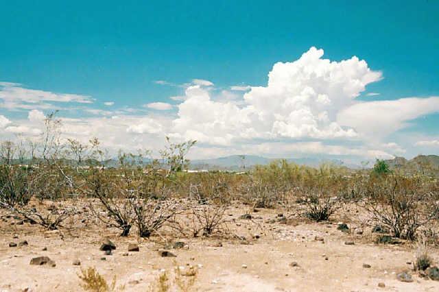 381 N 19th Ave. Ave., Phoenix, AZ 85086