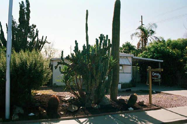 355 S Windsor St., Mesa, AZ 85204