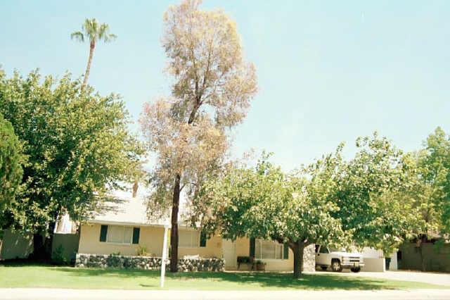 57 N Fraser Dr., Mesa, AZ 85203