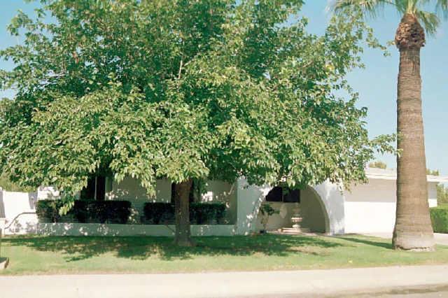 11438 N 37th Pl., Phoenix, AZ 85028
