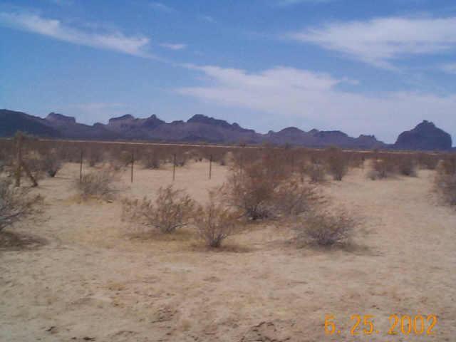 560 W No Site Address Rd. #116, Tonopah, AZ 85000