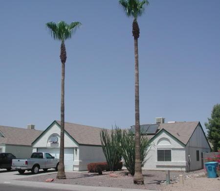 4926 W Julie Dr., Glendale, AZ 85308