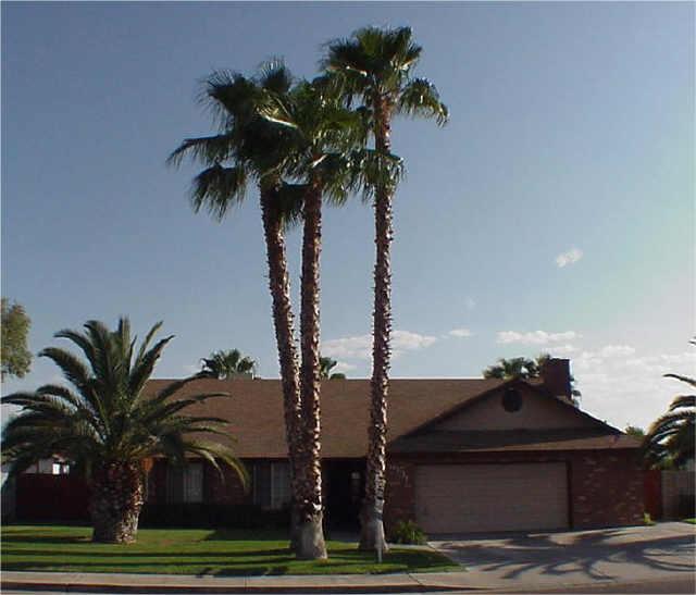 6131 E Encanto St., Mesa, AZ 85205