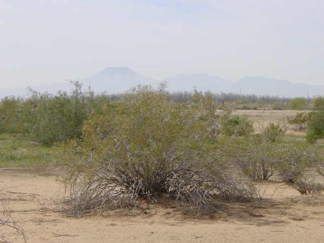 W Peppertree Ln., Casa Grande, AZ 85222