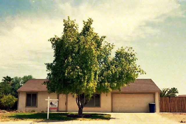 4525 Orchid Ln., Chandler, AZ 85226