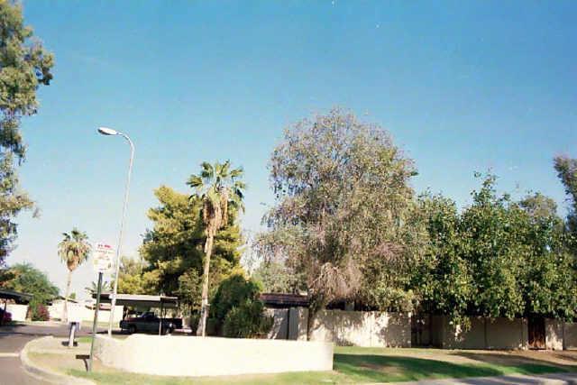 633 N May St. #13, Mesa, AZ 85201