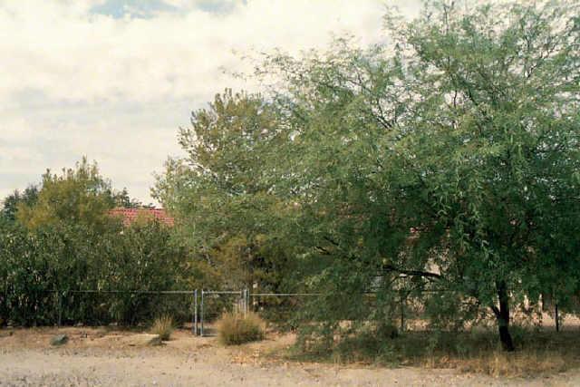 3130 E Emile Zola Ave., Phoenix, AZ 85032