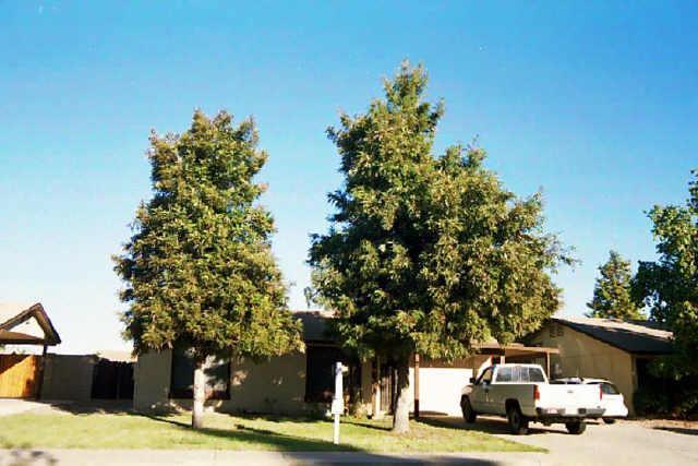 307 N Los Feliz Dr., Chandler, AZ 85226