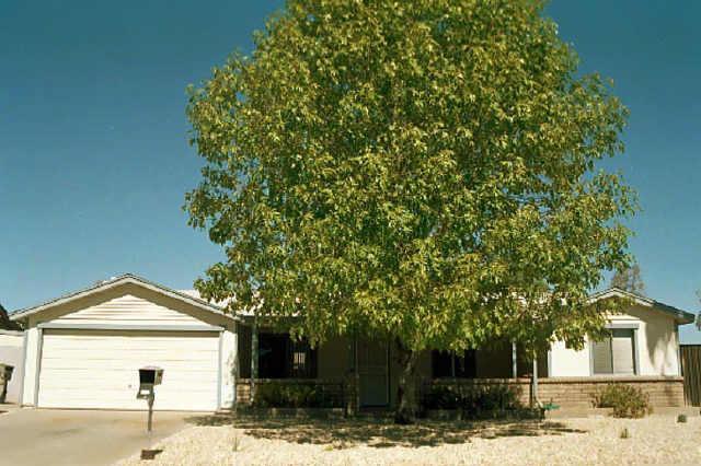 3642 E Capitan Dreyfus Ave., Phoenix, AZ 85032