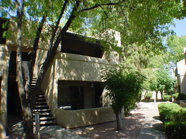 4444 E Paradise Village Pkwy. #236, Phoenix, AZ 85032