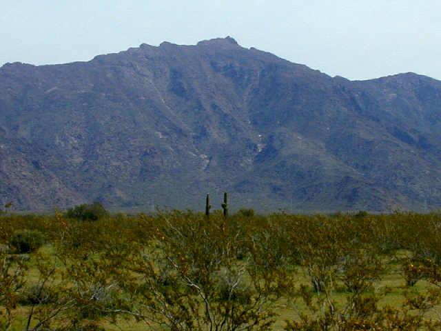 13900 Ocotillo Rd., Rainbow Valley, AZ 85326