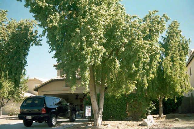 18839 N 43rd St., Phoenix, AZ 85050