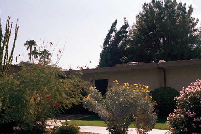 4800 N 68th St. #265, Scottsdale, AZ 85251