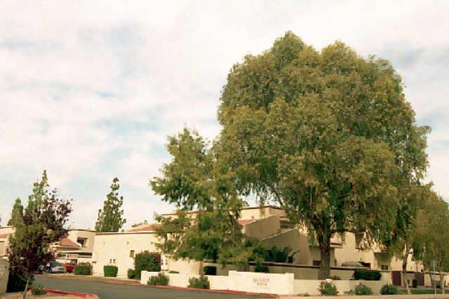 850 S River Dr. #2117, Tempe, AZ 85281