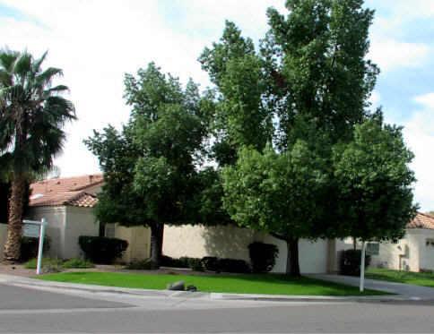 4121 E Desert Cove Ave., Phoenix, AZ 85028