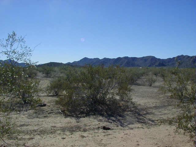 W Bowlin Rd. #C, Maricopa, AZ 85239