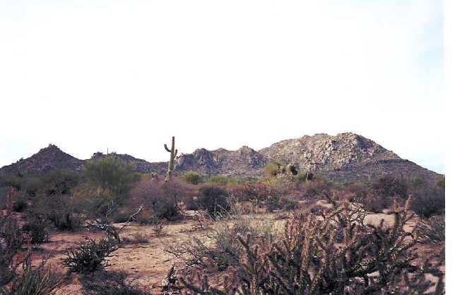 136th St & Lone Mountain Rd., Scottsdale, AZ 85262