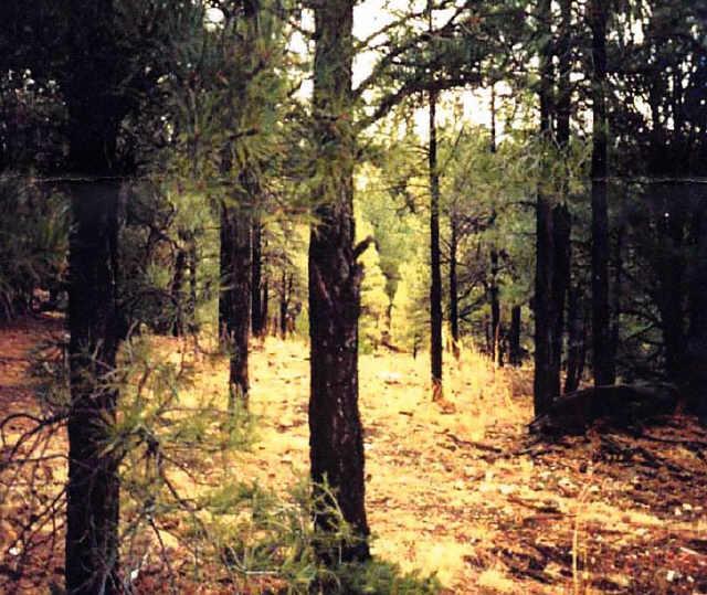 [Address Unavailable], Flagstaff, AZ 86004