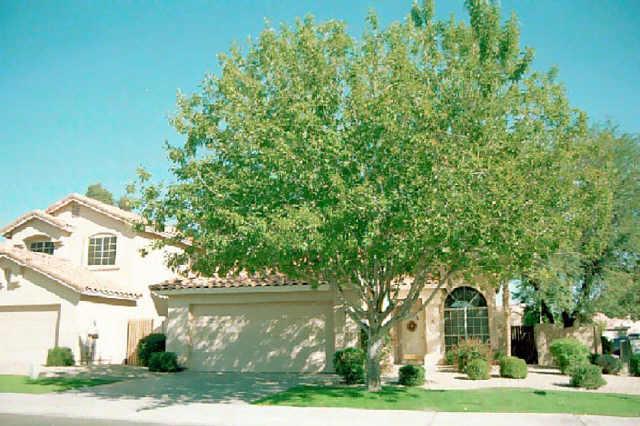 16637 S 32nd St., Phoenix, AZ 85048