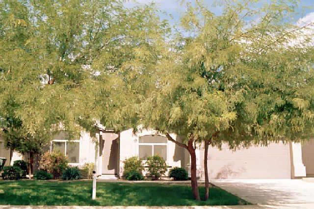 2810 E Renee Dr., Phoenix, AZ 85050