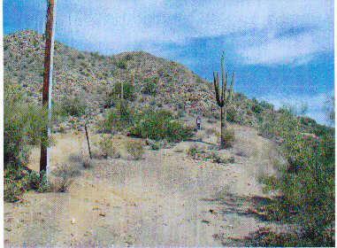 N Bryce Ter., Queen Creek, AZ 85242