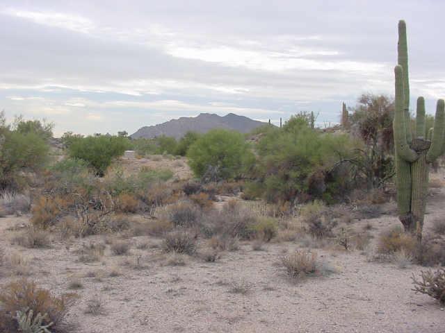 8933 E Covey Ter. #213, Scottsdale, AZ 85262