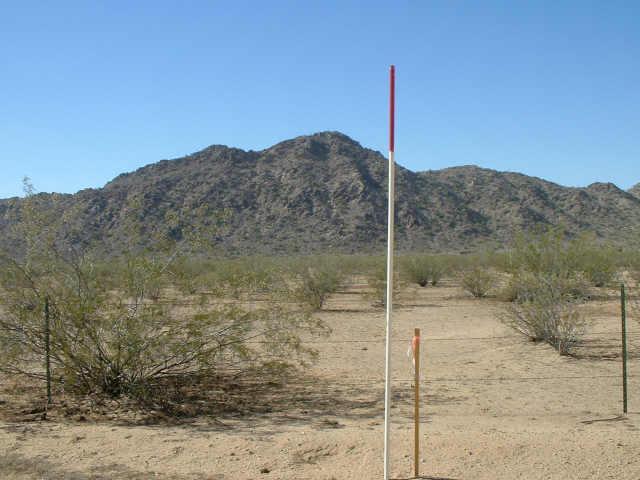 777 W Dasher Dr., Maricopa, AZ 85239