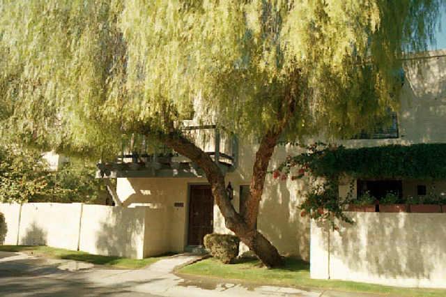 10408 N 11th Pl. #1, Phoenix, AZ 85020