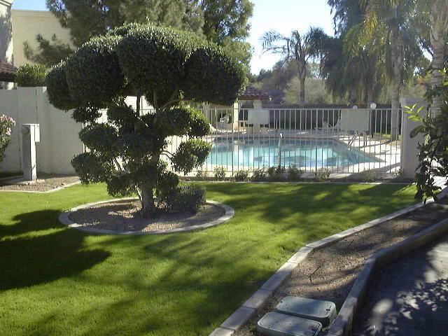 1229 N Alma School Rd. #8, Mesa, AZ 85201