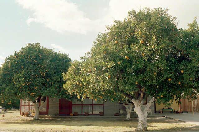 5030 N 70th St., Scottsdale, AZ 85253