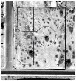 1204 E Euclid Ave. #1-6, Phoenix, AZ 85042