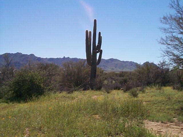 27 N 174th St., Unincorporated County, AZ 85263