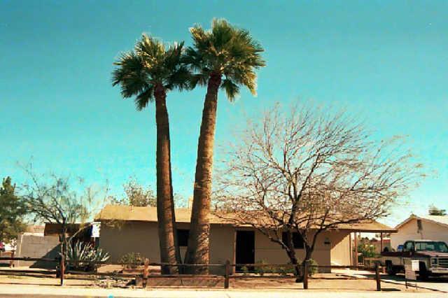 443 S Standage Rd., Mesa, AZ 85202